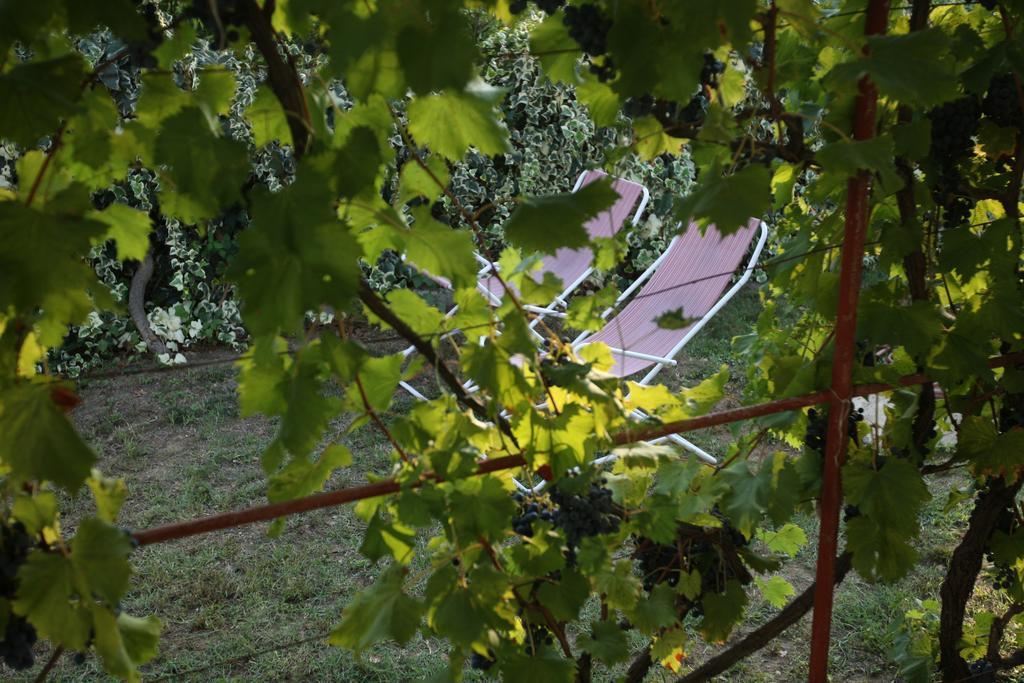 Villa Kucica Ljubcek Privlaka  Zimmer foto